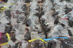 589823060_122265626162019327_1593742074076749396_n