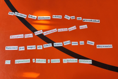 645067557_122277912380019327_6866472553388561002_n