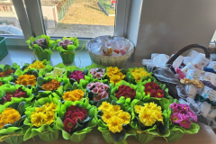 650047365_122279159156019327_7267190447224776236_n