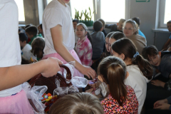 IMG_0908
