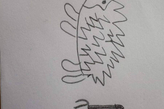 658042215_122281054694019327_2234222016378666070_n