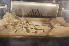 FB_IMG_1764794269924