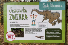 Messenger_creation_14B6FEC4-3554-42D7-8DFB-D3E44A40FE1A