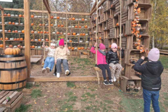 Messenger_creation_4AF8FE46-7F64-4DB5-8C90-47484CE5EF7A