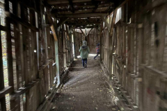 Messenger_creation_5578AE36-CAE4-4052-A4D3-FEC2DE7DD271