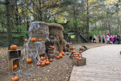 Messenger_creation_7C67249B-A094-417B-BE44-0B410D76BB9A