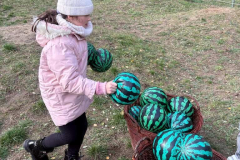 Messenger_creation_A72941E2-CFD5-443D-8A93-1ACDE99D8F4D