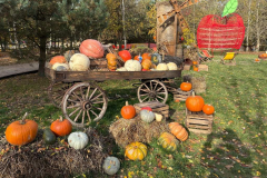 Messenger_creation_A82D5FC8-3AE6-48E4-974E-BC76C156DC20