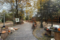 Messenger_creation_D9947519-D3E2-47BB-9262-60D5AD9C9DA3