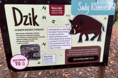 Messenger_creation_ED51E478-6086-4A3C-A505-4A2FD362A27D