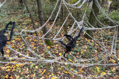 trashed-1764268254-Messenger_creation_24B2EE15-456C-42A2-B155-BB95F153B4CB