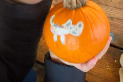 trashed-1764268490-Messenger_creation_011B171B-722F-4FE1-8928-52D334D97A6D