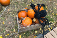 trashed-1764268591-Messenger_creation_ABD86AC0-8A80-452F-8EA0-A8A97FEC02FF