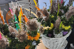 658151464_122281317692019327_405170552798291695_n