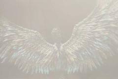 584765606_122264789720019327_2089398049555330127_n