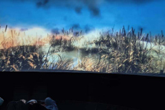 584801325_122264789804019327_6727892120724401600_n