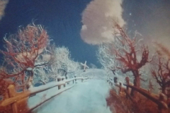 584954497_122264792894019327_7274477884802382022_n