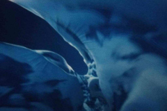 585595458_122264788988019327_2795190398957899657_n