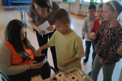 IMG20251105083235