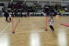 475706180_122216244104019327_2002368286350879711_n