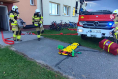 Messenger_creation_63505C78-F980-4EB5-8931-2E1F7D23EE79