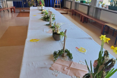 658938454_122282444414019327_8494720826587473502_n