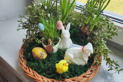 660541171_122282447120019327_666943787423616061_n