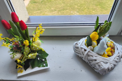 662358262_122282447372019327_2210173585278384610_n