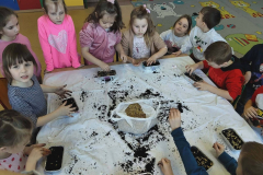 658574462_122281984298019327_1703481465561680171_n