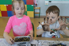 660448171_122281984478019327_8733781181827592643_n