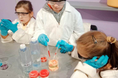 03cda04e-c9ec-4249-998a-e49daf395f80