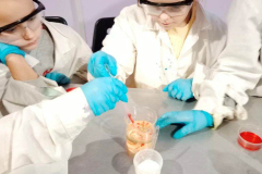 0597899d-24f3-41e4-a9c6-75e7f3ad6731