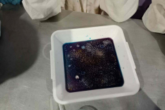 1153f916-f88d-4cd1-9847-d38a0f71836a