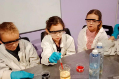 2a96fc3a-7524-45ea-b94d-a49948813690