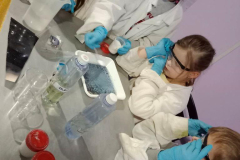 3f151d08-7c89-4dba-ae63-b24a54982039