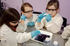 9d72e1d7-eea5-41b6-a517-160c5a9a1143