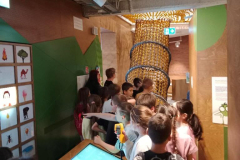 b8742809-b969-410c-bf21-07e333934865