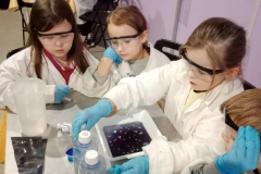 f70ddf18-7bd9-4839-babc-18c49b88fc6e