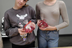 595928284_122267317454019327_8533274908213600513_n