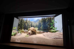 651159829_122279682038019327_8958815237731763911_n