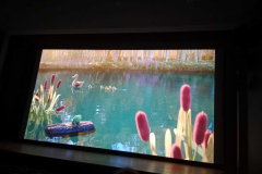 651169691_122279681858019327_9169888191906050121_n