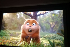 651798016_122279681594019327_5864974896268892264_n